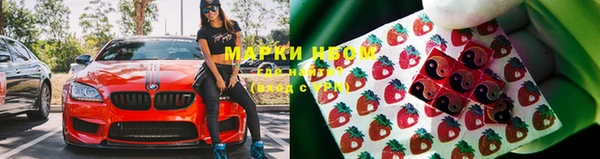 спайс Гусь-Хрустальный