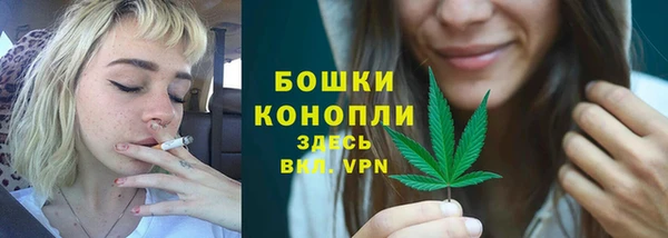 спайс Гусь-Хрустальный
