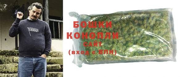 спайс Гусь-Хрустальный