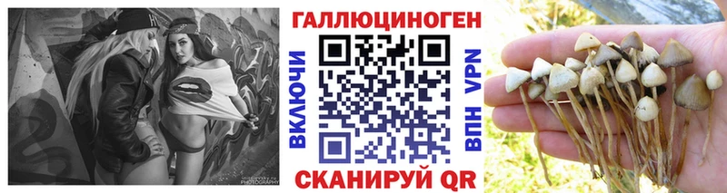 Галлюциногенные грибы ЛСД  Купить  Кемь 