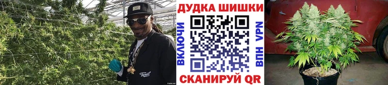 Бошки Шишки SATIVA & INDICA  Купить где  Кемь 